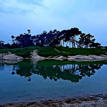 Appartement New Family Franka, Sabunike *